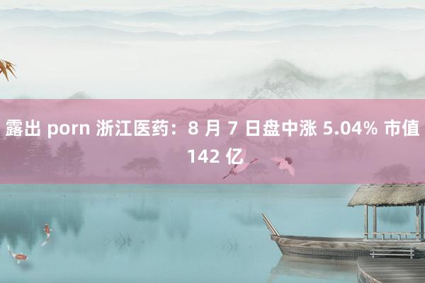 露出 porn 浙江医药：8 月 7 日盘中涨 5.04% 市值 142 亿