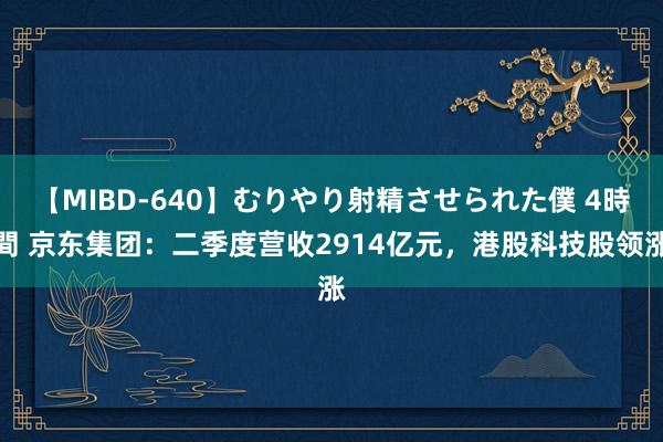 【MIBD-640】むりやり射精させられた僕 4時間 京东集团:二季度营收2914亿元,港股科技股领涨