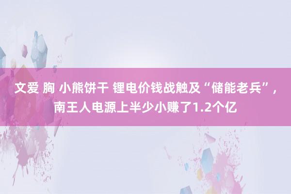 文爱 胸 小熊饼干 锂电价钱战触及“储能老兵”，南王人电源上半少小赚了1.2个亿