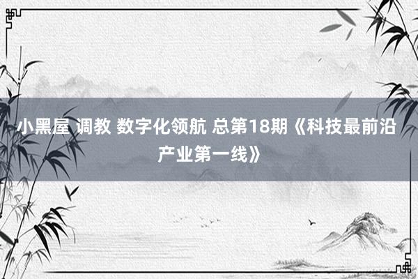 小黑屋 调教 数字化领航 总第18期《科技最前沿 产业第一线》