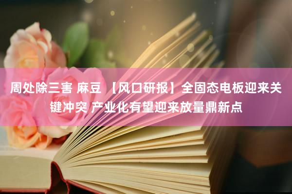 周处除三害 麻豆 【风口研报】全固态电板迎来关键冲突 产业化有望迎来放量鼎新点