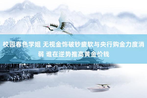 校园春色学姐 无视金饰破钞疲软与央行购金力度消弱 谁在逆势推高黄金价钱