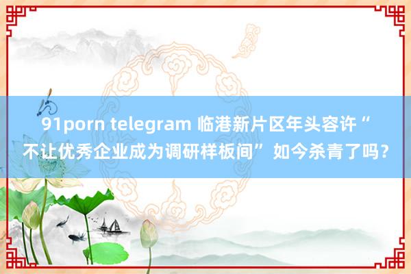 91porn telegram 临港新片区年头容许“不让优秀企业成为调研样板间” 如今杀青了吗？