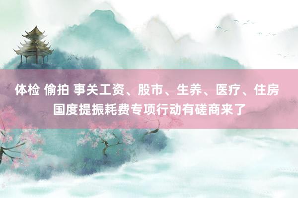 体检 偷拍 事关工资、股市、生养、医疗、住房 国度提振耗费专项行动有磋商来了