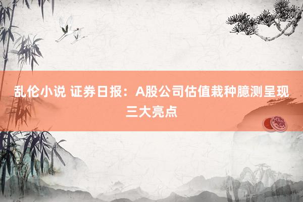 乱伦小说 证券日报：A股公司估值栽种臆测呈现三大亮点