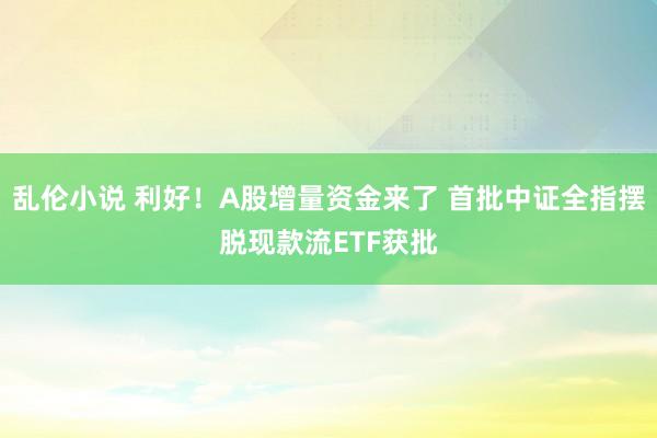 乱伦小说 利好！A股增量资金来了 首批中证全指摆脱现款流ETF获批