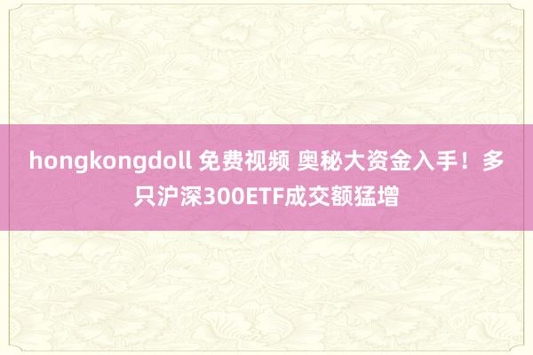 hongkongdoll 免费视频 奥秘大资金入手！多只沪深300ETF成交额猛增