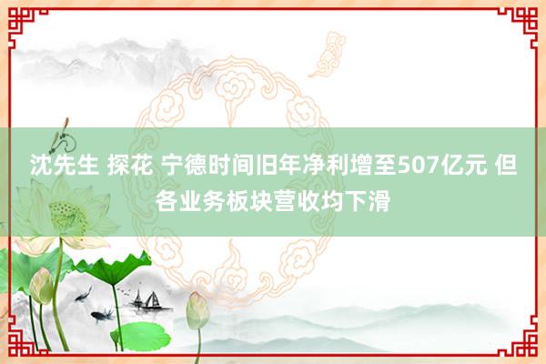 沈先生 探花 宁德时间旧年净利增至507亿元 但各业务板块营收均下滑